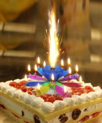 Multi-color Musical Lotus Flower Birthday Candles pack