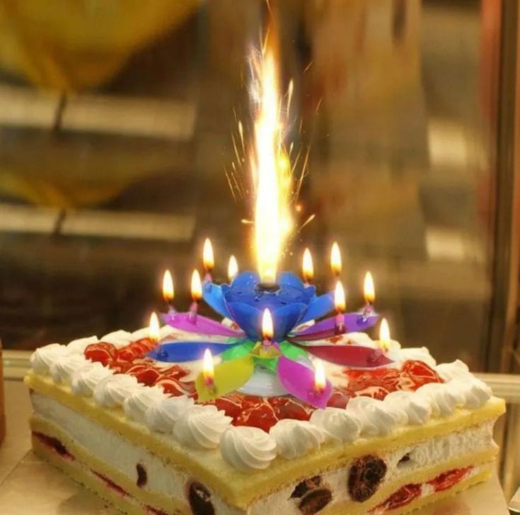 Musical-Lotus-Flower-Birthday-Candle-Colors Multi-color Musical Lotus Flower Birthday Candles pack