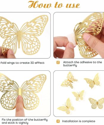 WhatsApp-Image-2024-10-03-at-6.55.52-PM-2