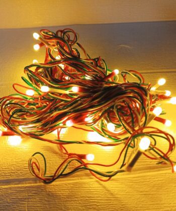 WhatsApp-Image-2025-08-19-at-4.54.41-PM