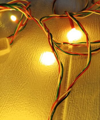 WhatsApp-Image-2025-08-19-at-4.54.42-PM